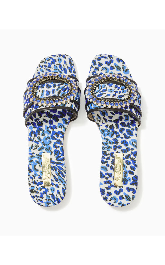 Dayna Sandal