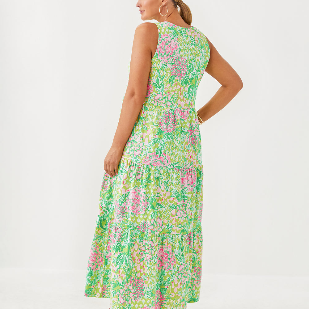 
                  
                    Sydnee Maxi Dress
                  
                