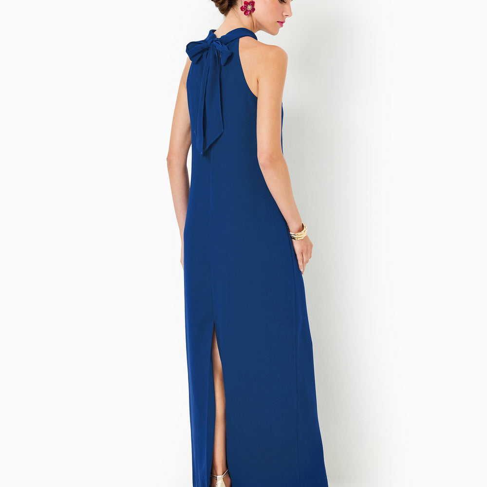 
                  
                    Alaric Halter Maxi Dress
                  
                